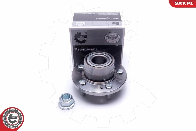 Wheel Bearing Kit